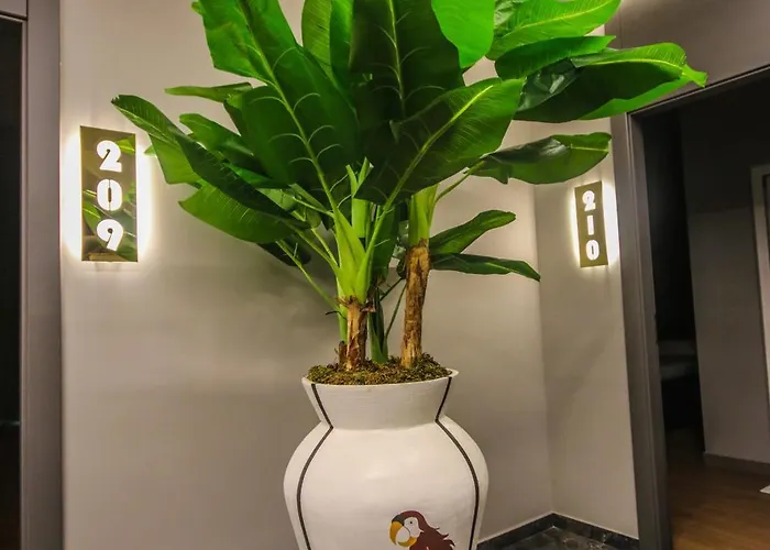 Atrium Mjull-Bethore